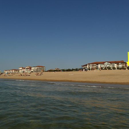 La Dune D'Or - Vue Mer, Studio Face A La Plage Avec Terrasse Сорт-Осгор Екстериор снимка