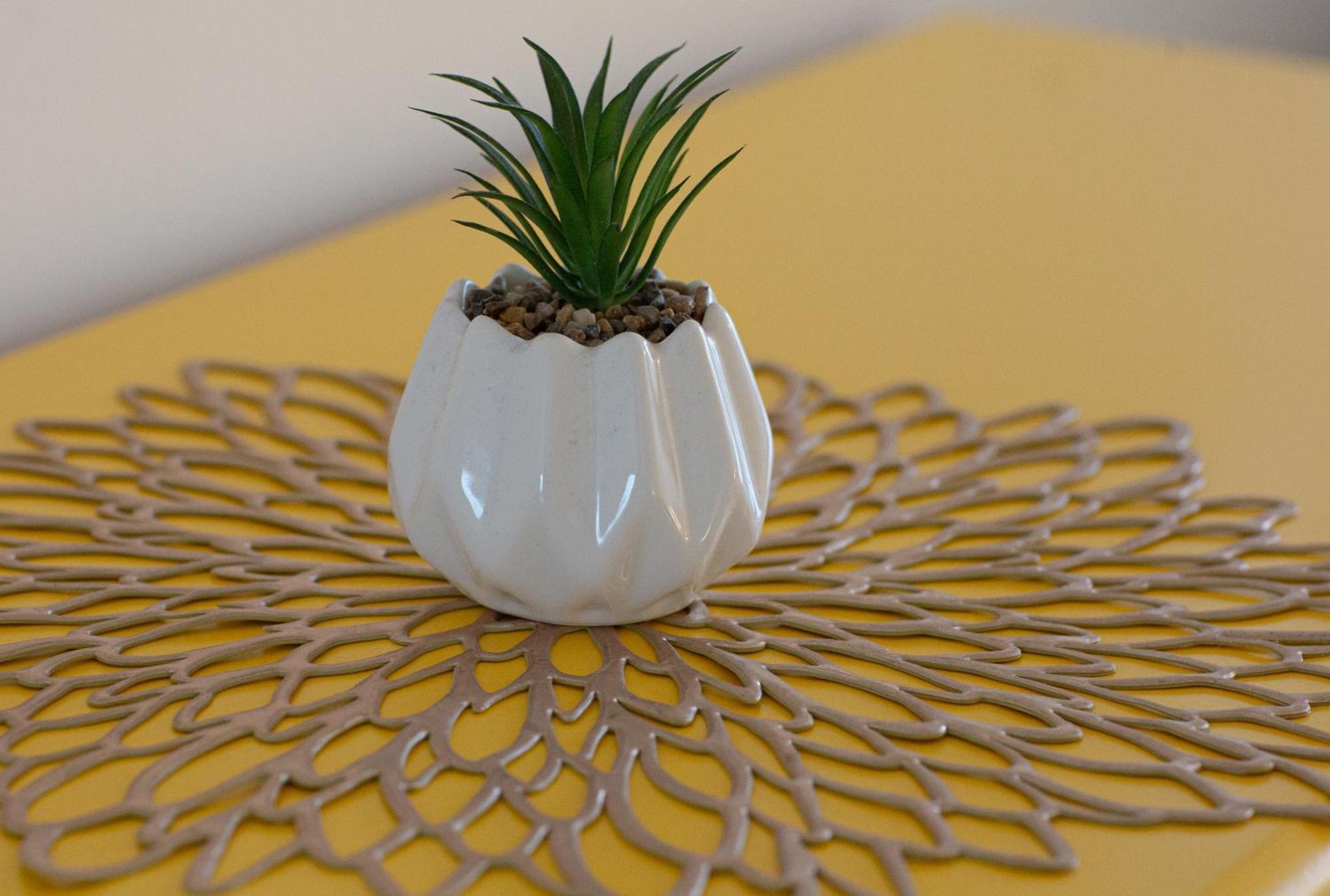 La Dune D'Or - Vue Mer, Studio Face A La Plage Avec Terrasse Сорт-Осгор Екстериор снимка